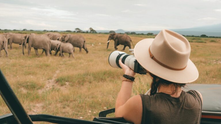 What to expect on an East African Safari?